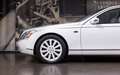 Maybach 62 S LANDAULET Weiß - thumbnail 5