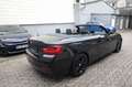 BMW 218 Cabrio 218 i M-Paket Tempomat PDC 1Hand Navi Schwarz - thumbnail 21