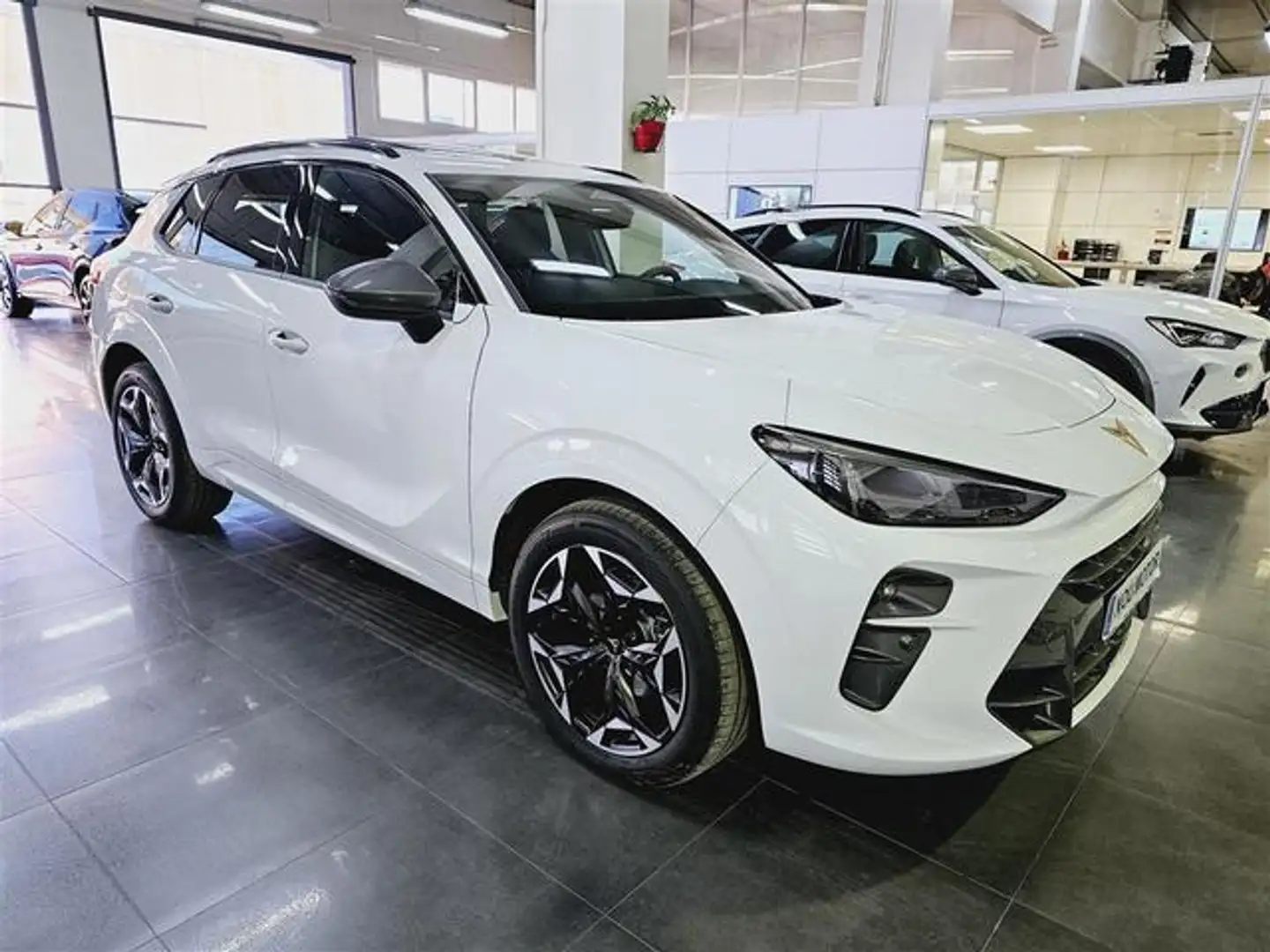 CUPRA Terramar 1.5 eTSI 110 DSG Blanco - 2