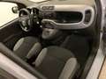 Fiat Panda III 1.0 firefly hybrid City Life Gris - thumbnail 12