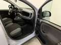 Fiat Panda III 1.0 firefly hybrid City Life Gris - thumbnail 11
