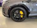 Lamborghini Urus Urus 4.0 V8 auto - IVA ESPOSTA Gris - thumbnail 9