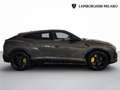 Lamborghini Urus Urus 4.0 V8 auto - IVA ESPOSTA Gris - thumbnail 8