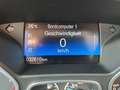 Ford C-Max 1.0 EcoBoost Titanium BiXenon Winter-Paket Szürke - thumbnail 11