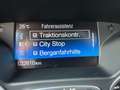 Ford C-Max 1.0 EcoBoost Titanium BiXenon Winter-Paket Szürke - thumbnail 12
