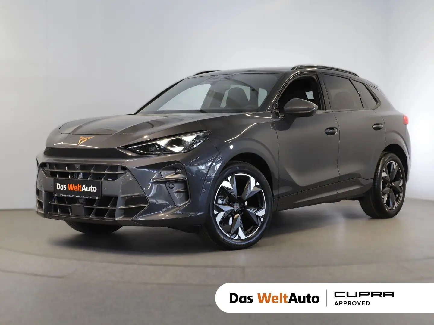 CUPRA Terramar 1.5 e-TSI 150 PS DSG Grau - 1