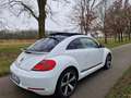 Volkswagen Beetle 2.0 TDI Exclusive Design BMT Weiß - thumbnail 2