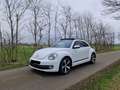 Volkswagen Beetle 2.0 TDI Exclusive Design BMT Weiß - thumbnail 1