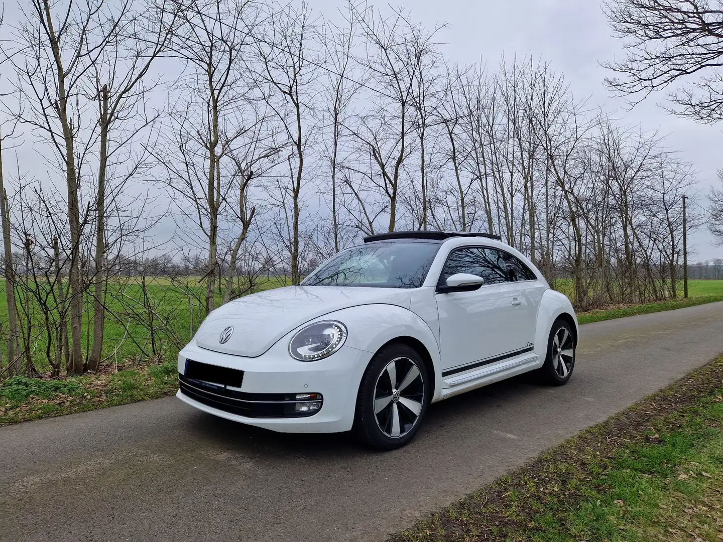 Volkswagen Beetle 2.0 TDI Exclusive Design BMT Weiß - 1
