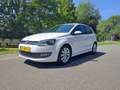 Volkswagen Polo Polo 1.0 BlueM. Edition Wit - thumbnail 3