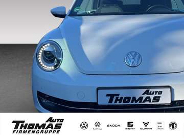 Cabriolet 1.2 Cup BMT TSI Klima SHZ