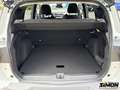 Opel Frontera 1.2 DI Hybrid 48V eDCT GS 100 kW / Navi, LED, PDC Weiß - thumbnail 6
