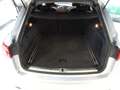 Audi A6 allroad A6 Allroad  quattro 3.0 TDI S tronic DPF Argento - thumbnail 24