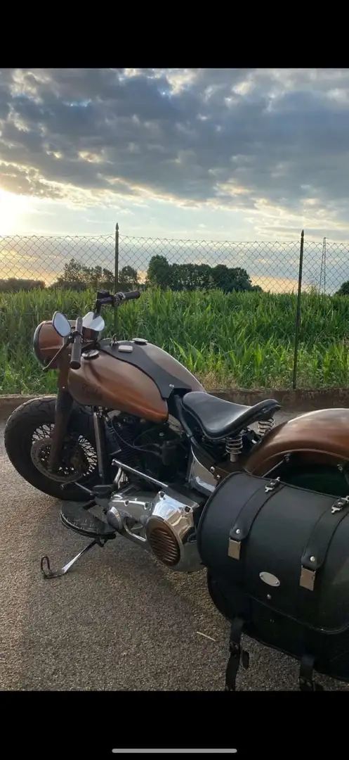 Harley-Davidson Softail Bronzová - 2