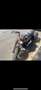 Harley-Davidson Softail Bronzo - thumbnail 1