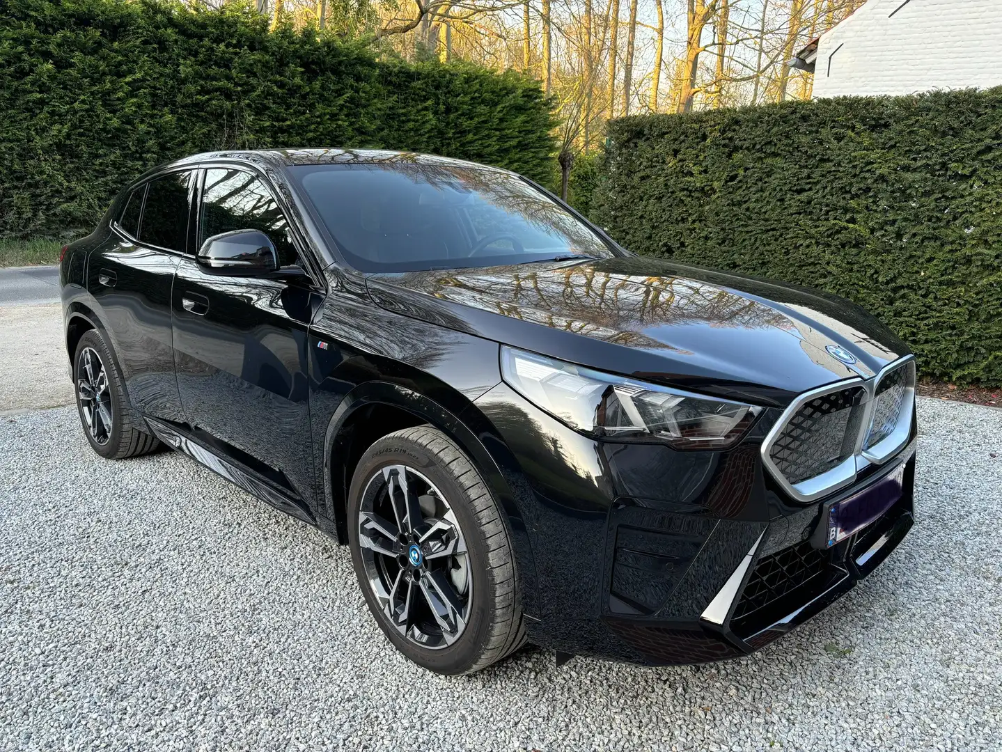 BMW iX2 66.5 kWh eDrive20 - 1