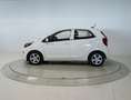 Kia Picanto 1.0 DPi Concept Blanco - thumbnail 2