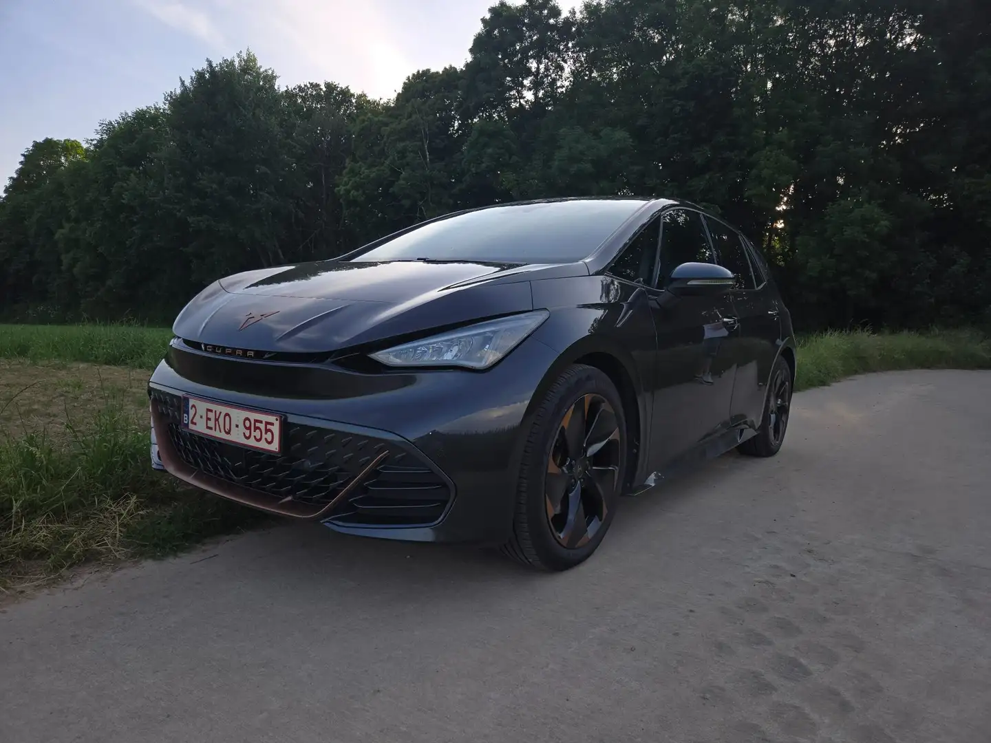 CUPRA Born Born 150kW/58kWh Grijs - 1