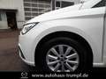 SEAT Ibiza 1.0 TSI Style LED / FullLink / PDC Білий - thumbnail 16