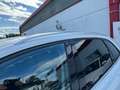 Audi Q5 2.0 TDI clean diesel/ultra (110 kW)*MEGA SCHÖN* bijela - thumbnail 7