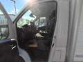 Citroen Jumper FURGONATO 35H 2.2 BlueHDi 140cv L3 PRONTA CONSEGNA Weiß - thumbnail 13