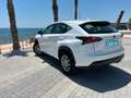 Lexus NX 300 300h Business Navigation 2WD Blanco - thumbnail 8