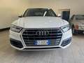 Audi Q5 Q5 2.0 tdi Business quattro 190cv s-tronic Bianco - thumbnail 1