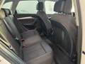 Audi Q5 Q5 2.0 tdi Business quattro 190cv s-tronic Bianco - thumbnail 11