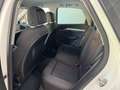 Audi Q5 Q5 2.0 tdi Business quattro 190cv s-tronic Bianco - thumbnail 10