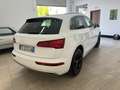 Audi Q5 Q5 2.0 tdi Business quattro 190cv s-tronic Bianco - thumbnail 4