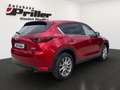 Mazda CX-5 Sports-Line AWD/NAVI/Matrix/Bose/DAB Rosso - thumbnail 3