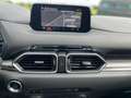 Mazda CX-5 Sports-Line AWD/NAVI/Matrix/Bose/DAB Rosso - thumbnail 9