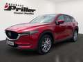 Mazda CX-5 Sports-Line AWD/NAVI/Matrix/Bose/DAB Rosso - thumbnail 1
