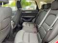 Mazda CX-5 Sports-Line AWD/NAVI/Matrix/Bose/DAB Rosso - thumbnail 11