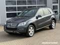 Mercedes-Benz ML 300 ML 300 CDI 4M BiXenon Distronic AHK SHD Comand Gris - thumbnail 19