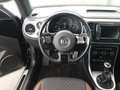 Volkswagen Beetle 1.2 TSI Allstar *RFK*GJR*PANORAMA-DACH*NAVI* Negro - thumbnail 11