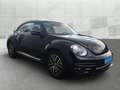 Volkswagen Beetle 1.2 TSI Allstar *RFK*GJR*PANORAMA-DACH*NAVI* Negro - thumbnail 3