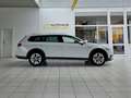 Volkswagen Passat Alltrack Passat Variant Alltrack 4Motion Rückfahrkamera Blanc - thumbnail 7