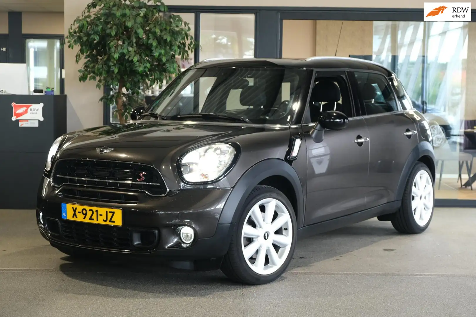 MINI Cooper S Countryman Mini 1.6 Chili 190 PK Navi Trek Cruise Led Pdc Maro - 1