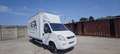 Iveco Daily 3.0 140cv Euro 5 - thumbnail 10