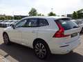 Volvo XC60 T6 Inscription Plug-In ACC 360° PANO Google Weiß - thumbnail 5