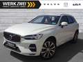 Volvo XC60 T6 Inscription Plug-In ACC 360° PANO Google Weiß - thumbnail 1