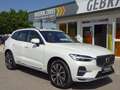 Volvo XC60 T6 Inscription Plug-In ACC 360° PANO Google Weiß - thumbnail 9