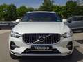 Volvo XC60 T6 Inscription Plug-In ACC 360° PANO Google Weiß - thumbnail 10