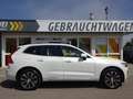 Volvo XC60 T6 Inscription Plug-In ACC 360° PANO Google Weiß - thumbnail 8