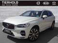 Volvo XC60 T6 Inscription Plug-In ACC 360° PANO Google Weiß - thumbnail 2