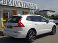Volvo XC60 T6 Inscription Plug-In ACC 360° PANO Google Weiß - thumbnail 7