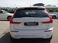 Volvo XC60 T6 Inscription Plug-In ACC 360° PANO Google Weiß - thumbnail 6