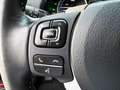 Lexus NX 300 300h Executive 4WD Rojo - thumbnail 17