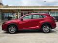 Lexus NX 300 300h Executive 4WD Rojo - thumbnail 9